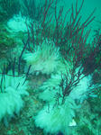 ikatamago0523.jpg