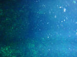 P6022620s.jpg