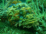 P6022649s.jpg