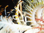 A0020109s.jpg