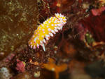 A0020202s.jpg
