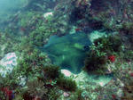 akaei0615.jpg