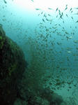 kinme0615.jpg
