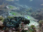 kounai0615.jpg