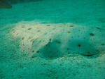 IMG_4725s.jpg