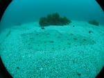 IMG_2355s.jpg