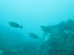 IMG_2370s.jpg