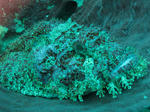 IMG_2388s.jpg