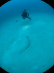 IMG_2424s.jpg