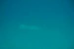 DSC01109s.jpg