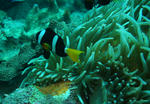DSC01132s.jpg