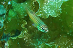 DSC01140s.jpg