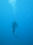 IMG_2639s.jpg