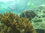 IMG_5094s.jpg