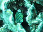 IMG_2684s.jpg