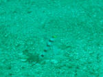 IMG_3228sss.JPG