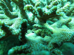 IMG_3231sss.JPG