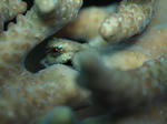 P9244691sss.JPG