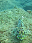 IMG_3251.jpg