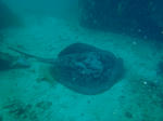 P9280061sss.jpg
