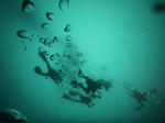 P1050430sss.jpg