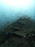 P1050444sss.jpg