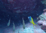 PA062744sss.jpg