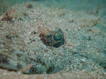 PA063283sss.jpg