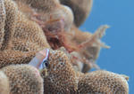PA063343sss.jpg
