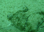 P1050567sss.jpg
