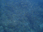 PA121216sss.jpg