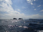 PA121318sss.jpg