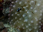 PA121375sss.jpg