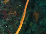 PA121474sss.jpg