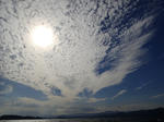 PA121591sss.jpg