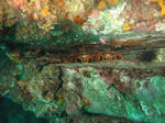 ise1015.jpg