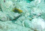 P1020551sss.jpg