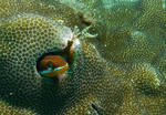 P1020564sss.jpg