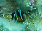 P1020575sss.jpg