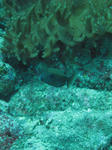 IMG_6262sss.jpg