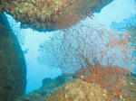 IMG_6274sss.jpg