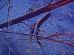 PA201010sss.jpg