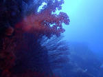 PA201182sss.jpg