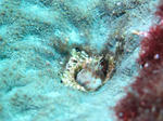 IMG_3498sss.jpg