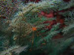 PA210767sss.jpg