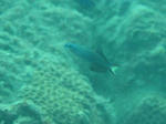 IMG_6831sss.JPG