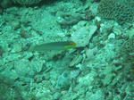 IMG_6838sss.JPG