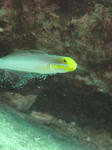 akahati1103.jpg