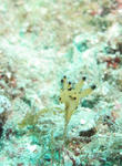kannna11032.jpg