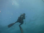 IMG_0060sssss.JPG